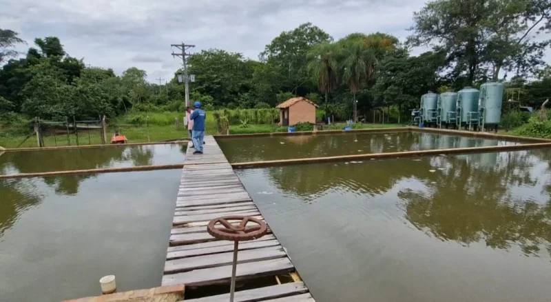Construcción y Optimización de la Planta de Tratamiento de Agua Potable